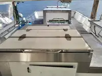 Trawler en venta
