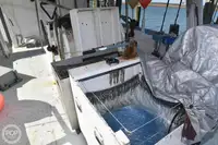 Palangrero en venta