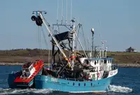Arrastrero de cerco en venta
