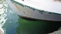 Arrastrero en venta