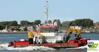 Barcos de trabajo en venta
