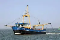 Arrastrero en venta