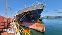 Portador de GNL en venta