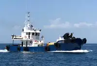 Barcos de trabajo en venta