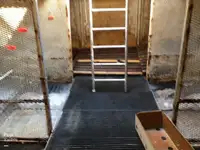 Arrastrero en venta