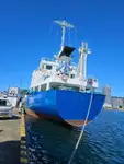 Buque granelero en venta