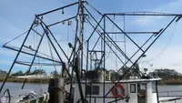 Arrastrero en venta