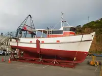 Arrastrero en venta