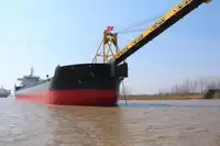 Granelero en venta