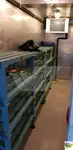 Buque de crucero en venta