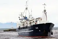 Buque granelero en venta