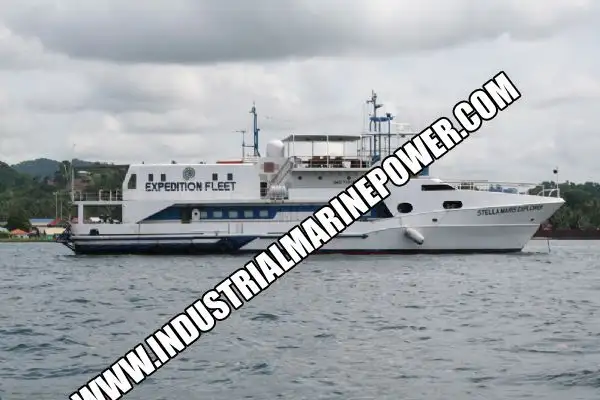 Buque de crucero en venta