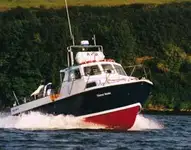 Cortador en venta
