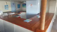 Catamarán en venta