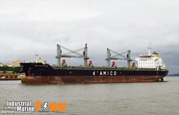 Buque granelero en venta