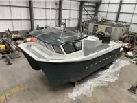 Catamarán en venta