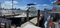 Soporte para buceo en venta