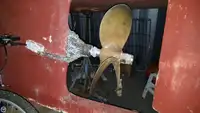 Arrastrero en venta