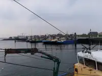 Arrastrero en venta