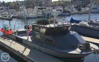 Arrastrero en venta