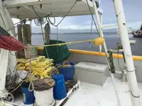Arrastrero en venta