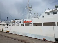 Palangrero en venta