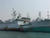 Palangrero en venta
