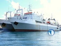 Arrastrero en venta