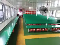 Buque de ferry en venta