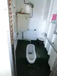 Buque de crucero en venta