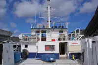Catamarán en venta