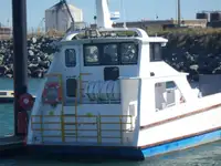 Buque de desembarco, tanque en venta