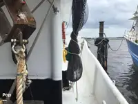 Arrastrero en venta