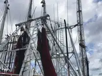 Arrastrero en venta