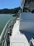 Catamarán en venta