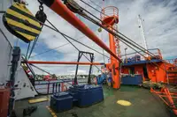 Buque portacontenedores en venta