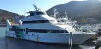 Barco de transbordador en venta