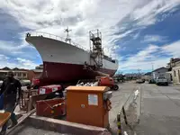 Arrastrero en venta