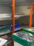Transbordador de crucero en venta