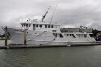 Arrastrero en venta