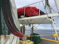 Arrastrero en venta