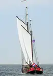 Buque granelero en venta