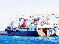Arrastrero en venta
