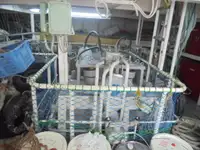 Patrullera en venta