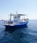 Arrastrero en venta