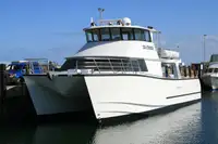 Catamarán en venta