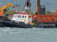 Barcos de trabajo en venta