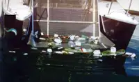 Barcos de trabajo en venta