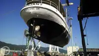Buque de ferry en venta