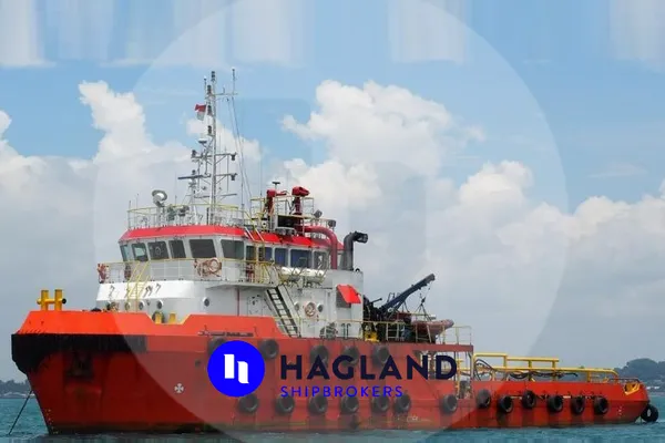Anchor Handling Tug Supply Vessel (AHTS) for sale